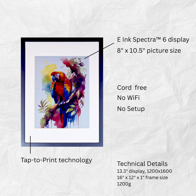 Reflection Frame Classic Black (Revised Edition)